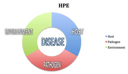 Diagram of disease factors