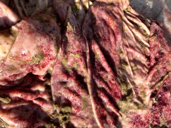 Image of bovine abomasum showing haemorrhages