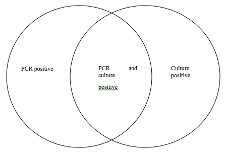 Conceptual model of faecal PCR and culture positive