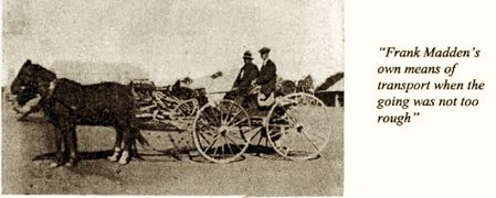 Image of horses and carriage