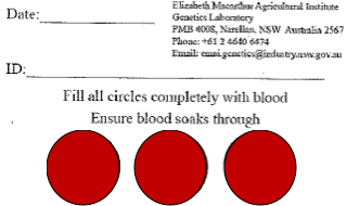 Illustration of blood sampling card