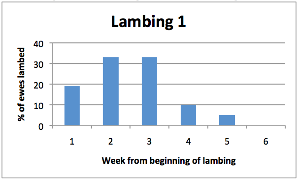 Chart of sheep reproductive performance