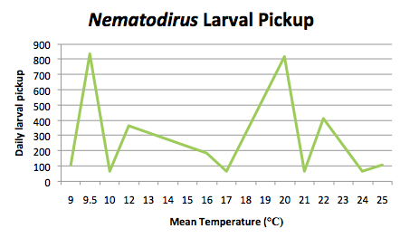 Graph of larval pickup
