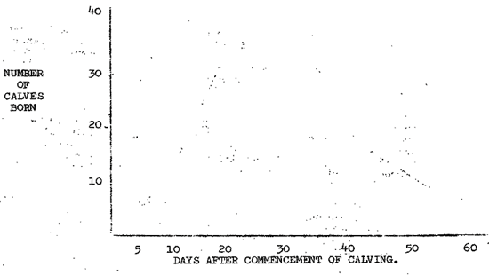 Graph of normal calving distribution