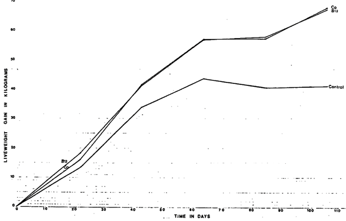 Graph bodyweight gain Co treatment