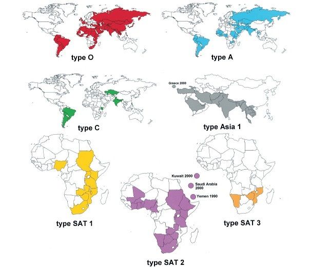 World maps showing FMD distribution