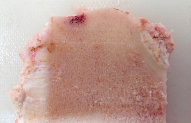 Image of bovine stifle joint post-mortem