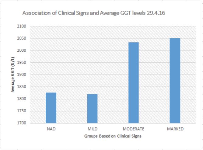 Facial eczema association of clinical signs and average GGT levels