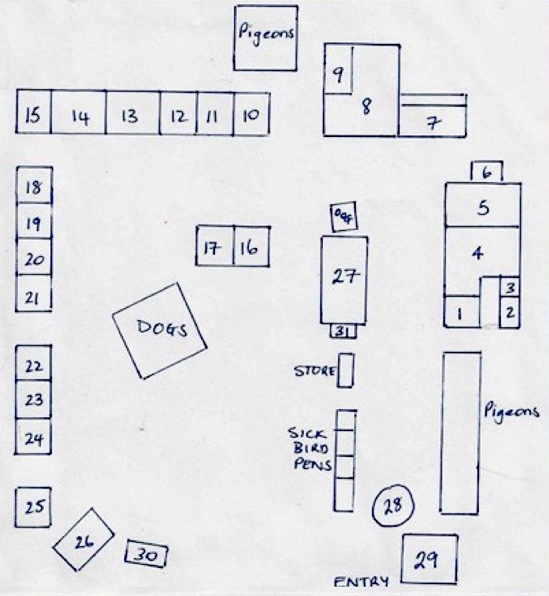 Map of the poultry yard
