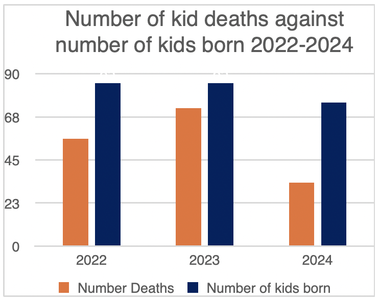 Graph of kid mortality 2022-2024