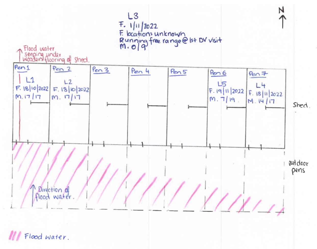 Mud map of farrowing shed